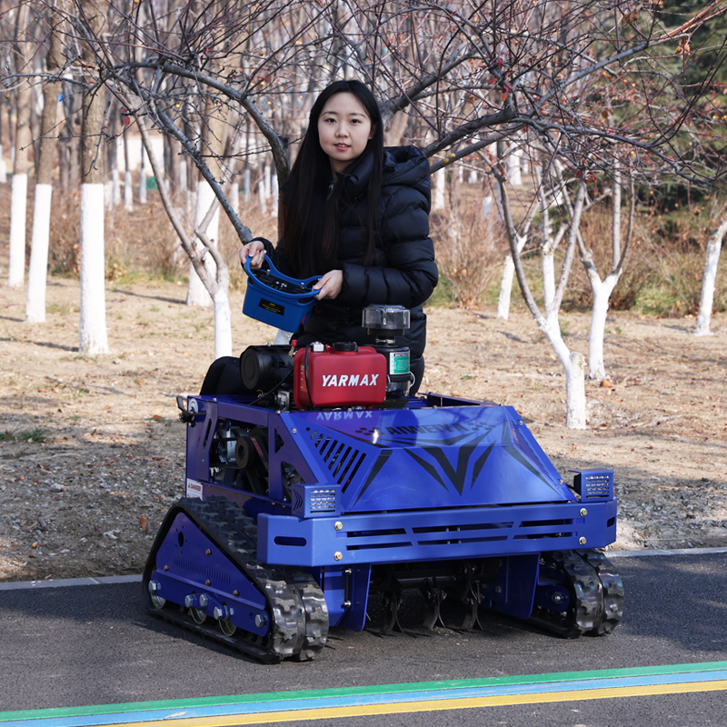 Smart Garden Model - Customized Fully Customizable Smart Lawn Mower,