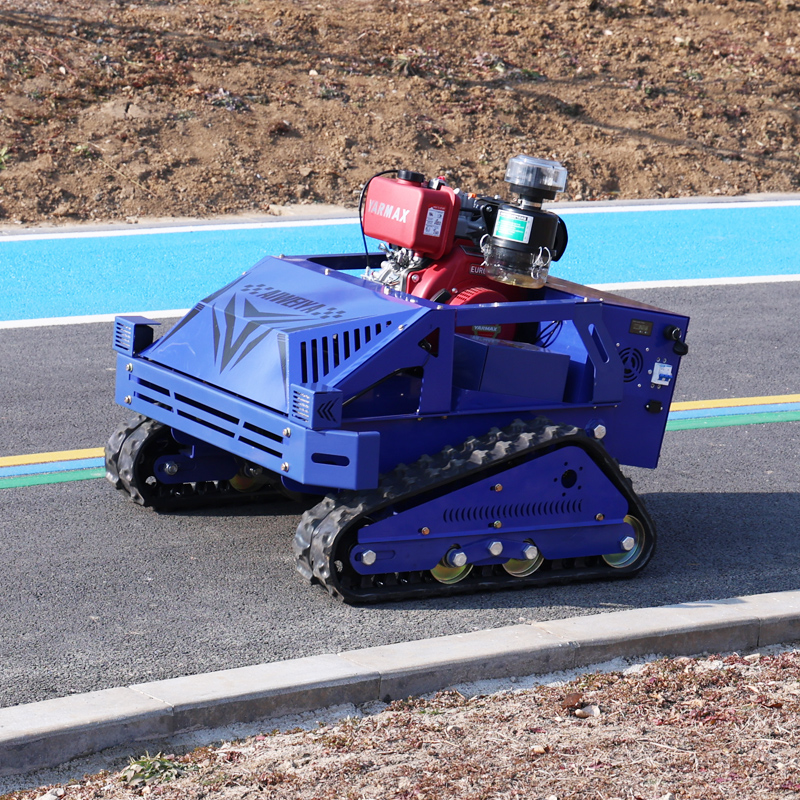 Smart Garden Model - Customized Agile RC Self-Propelled Smart Mower,