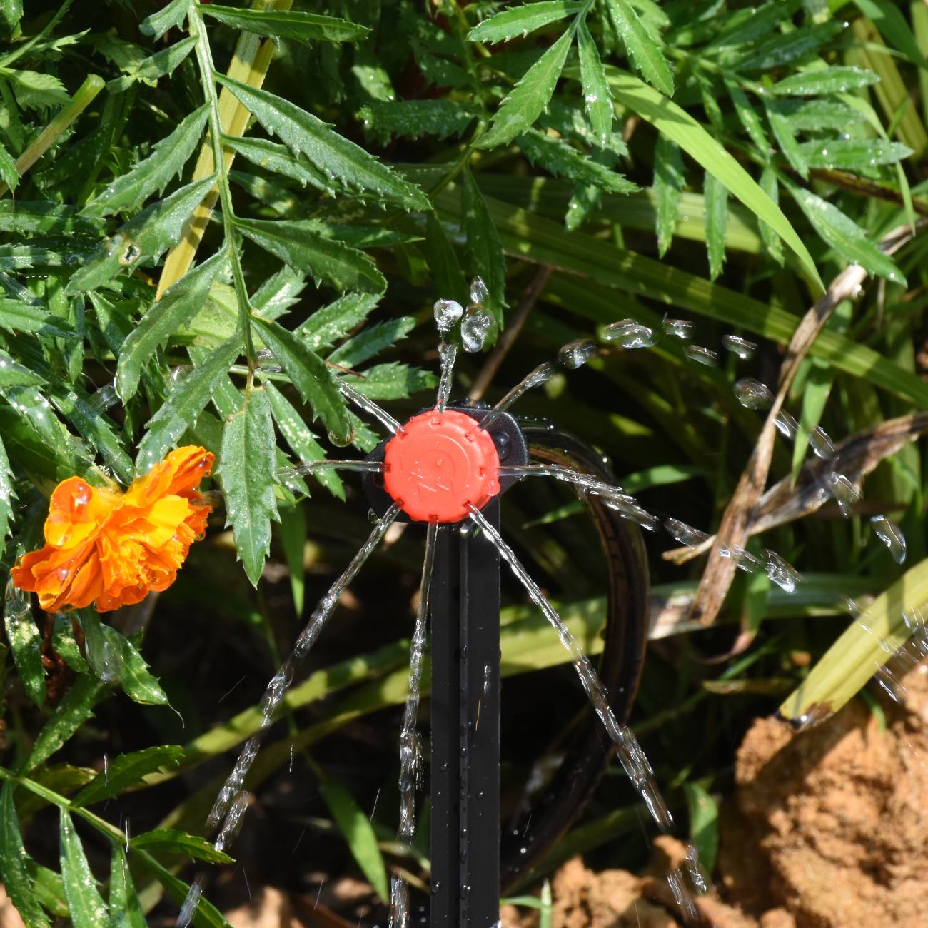 KESLA 30-800X Garden Drip Irri - Smart Garden Sprinkler System recensie en prijs