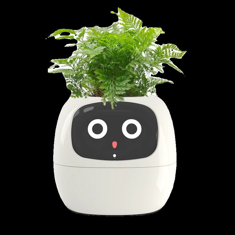 Sensor Smart Mimi Flower Pot F - Self Watering Pot Sensor recensie en prijs