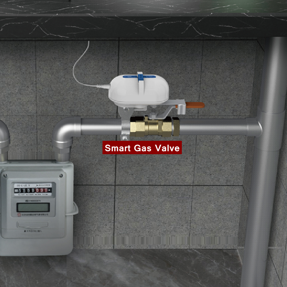 Tuya Smart Home WiFi Zigbee Wa - Smart Garden Sprinkler recensie en prijs