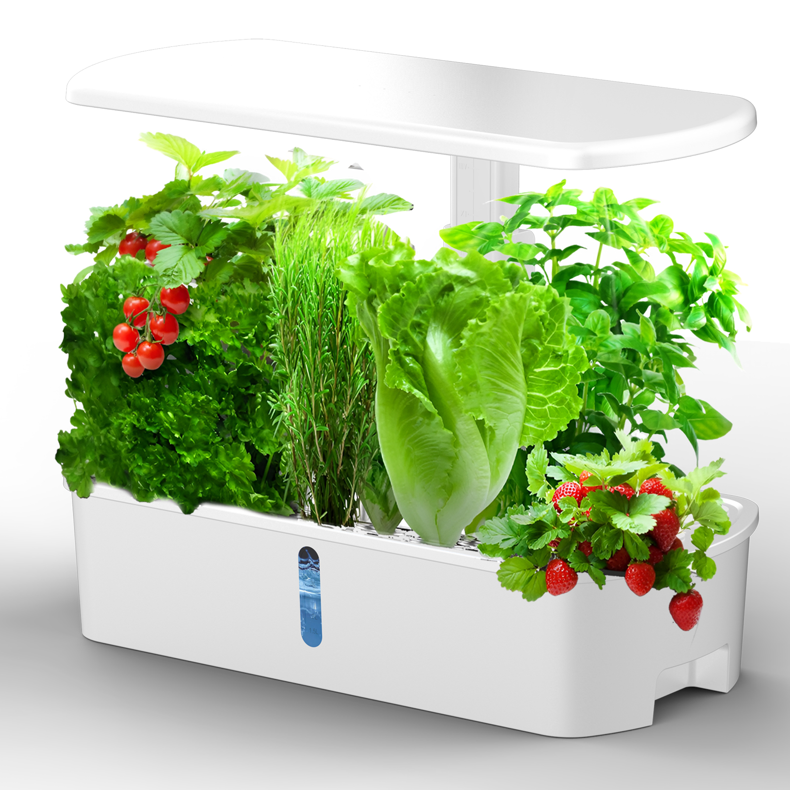 IGS-61 Smart Garden System Ind - Smart Garden Igs 61 recensie en prijs