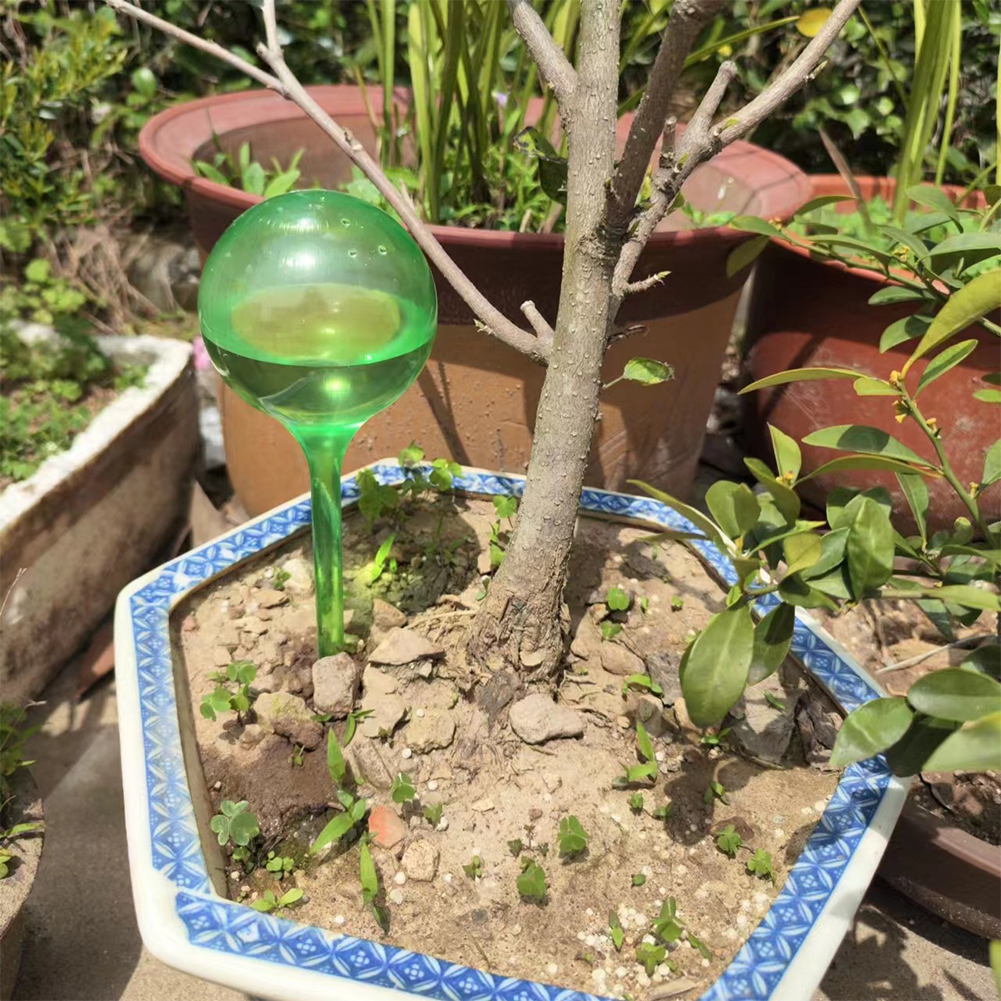 Automatic Plant Watering Bulbs - Smart Garden Sprinkler recensie en prijs