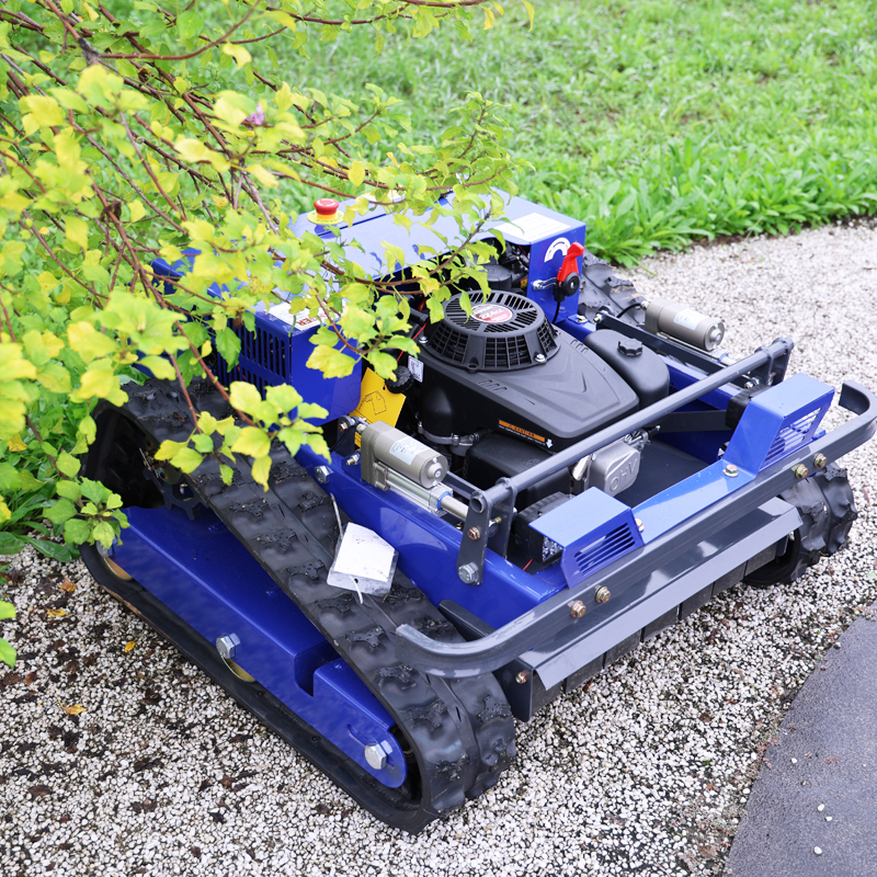 Customized Remote Control Elec - Smart Garden Weed recensie en prijs