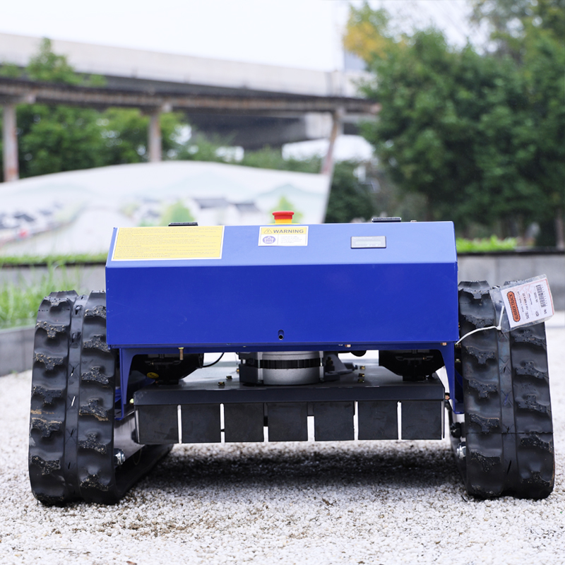 Customized Remote Control Elec - Smart Garden Weed recensie en prijs